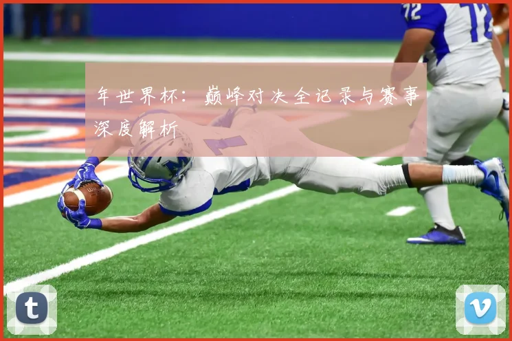 年世界杯:巅峰对决全记录与赛事深度解析
