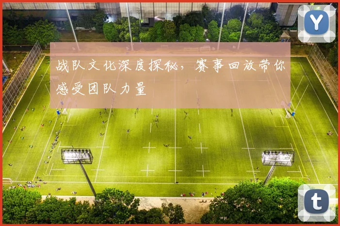 战队文化深度探秘，赛事回放带你感受团队力量
